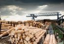 Czym powinno się charakteryzować wysokiej jakości drewno?