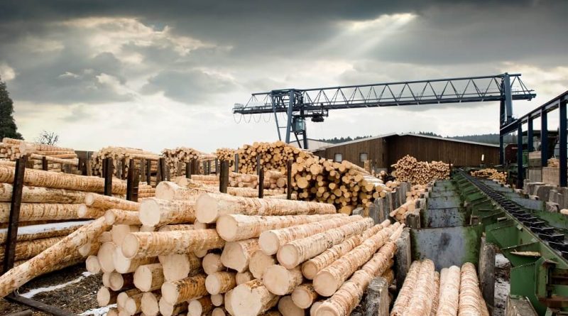 Czym powinno się charakteryzować wysokiej jakości drewno?